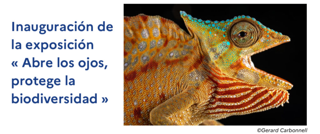 El instituto francés de Malabo acoge la exposición fotográfica « Abre los ojos, protege la biodiversidad »