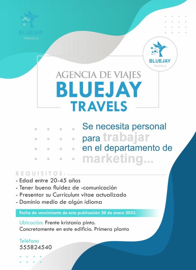 Agencia de viajes Bluejay Travels busca personal para su departamento de marketing