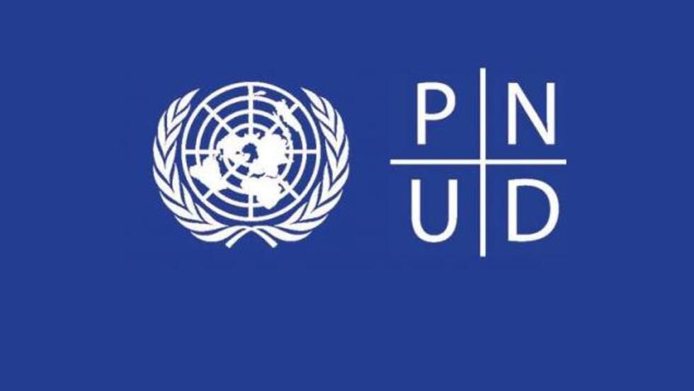 El PNUD en Guinea Ecuatorial recluta Consultor Nacional para organizar talleres de capacitación transversales