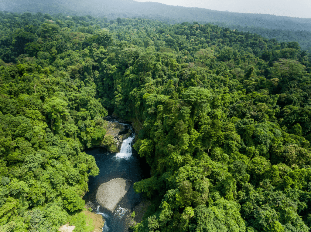 Guinea Ecuatorial pretende impulsar el ecoturismo con un especial de CNN sobre su biodiversidad 